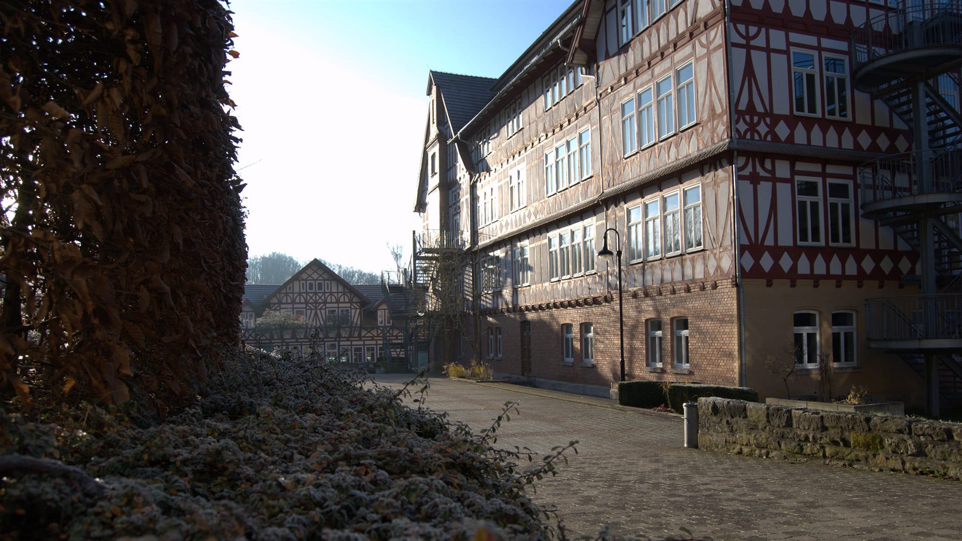Fachwerkhaus mit blauen Fenstern, blauer Himmel, gepflasterte Straße, Hecke im Vordergrund.
