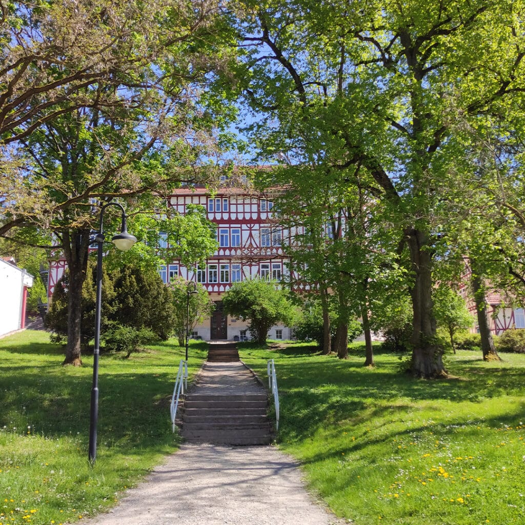 Old half-timbered buildings behind green trees on a sunny day, with a paved path.
