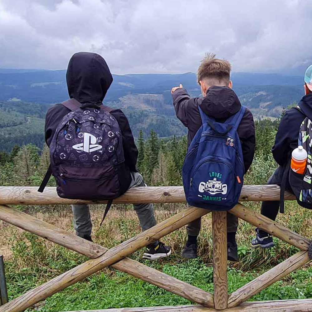 Three people with backpacks are looking at a wooded landscape under overcast skies; one person is pointing into the distance.