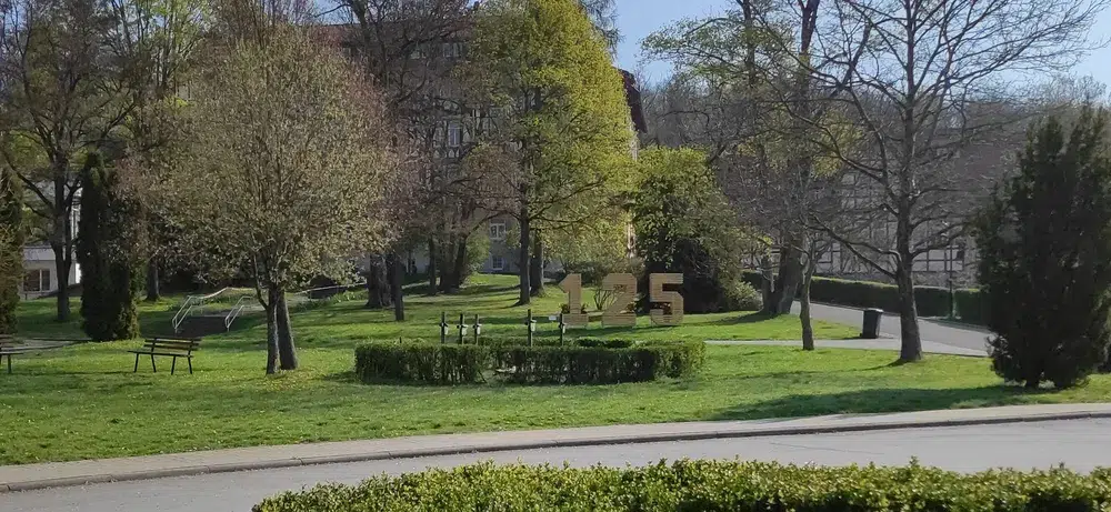 Ein sonniger Park mit grünen Bäumen und einer goldenen 125 Skulptur
