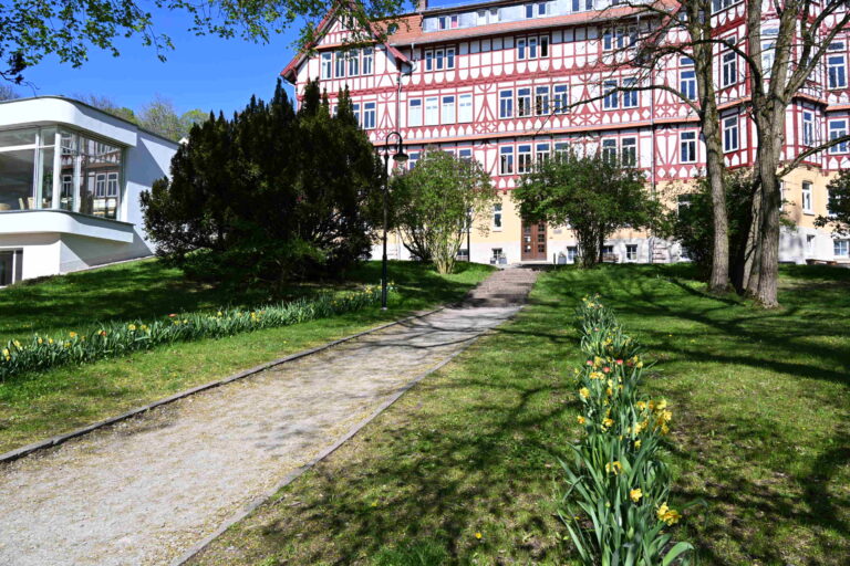 Ein sonniger Weg mit gelben Blumen führt zu einem historischen Fachwerkhaus mit roten Balken
