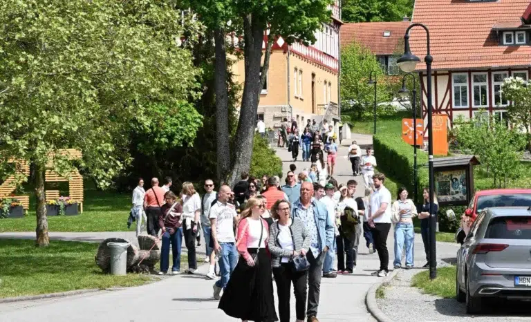 Eine Gruppe von Menschen spaziert entspannt auf einem sonnigen Weg mit grünen Bäumen