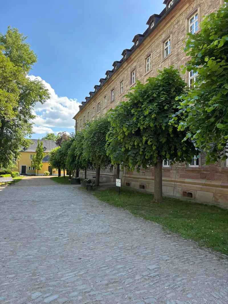 Sonniger Blick auf sandfarbenes Gebäude, grüne Baumreihe und Pflasterweg