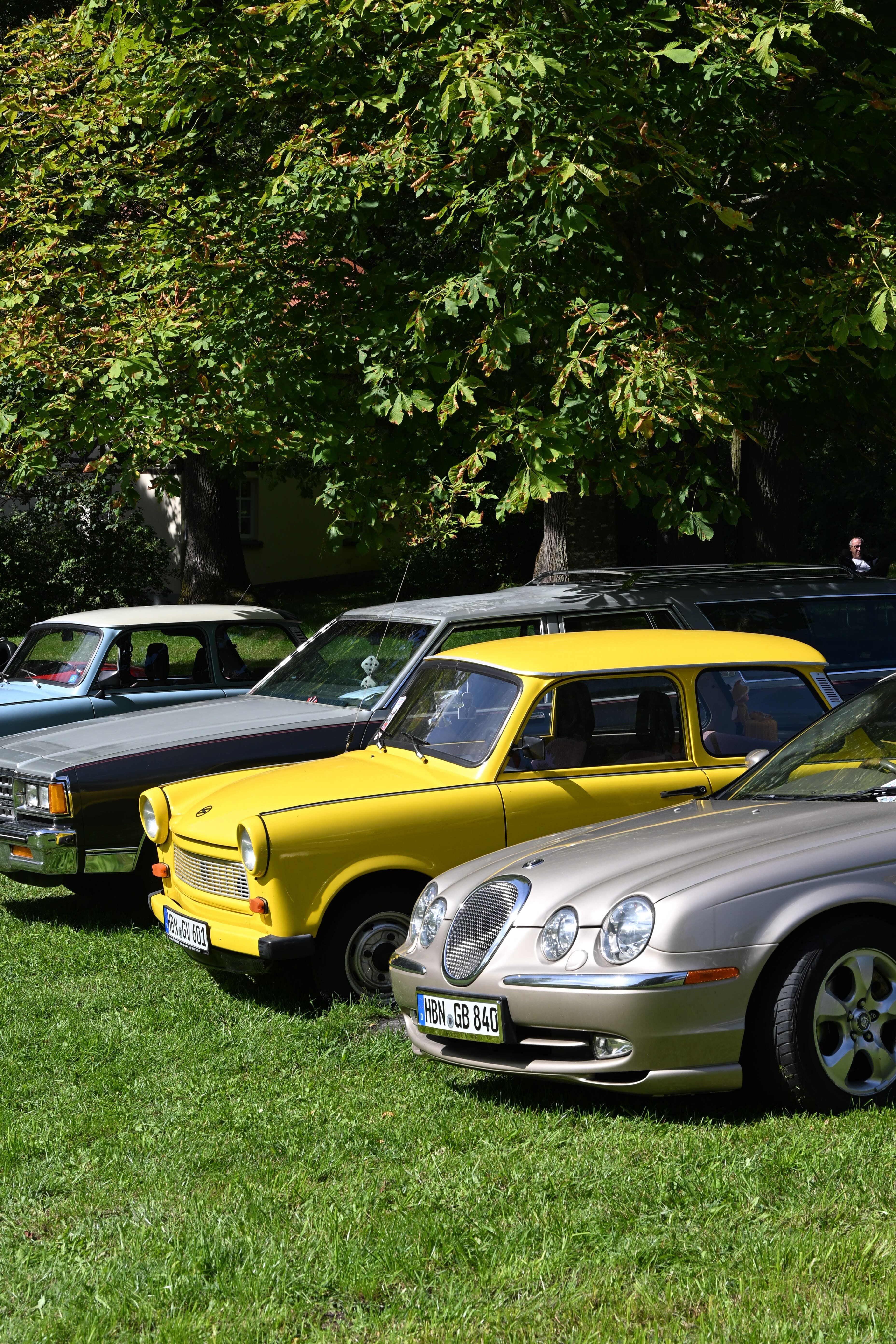 Gelbe und silberne Oldtimer parken nebeneinander auf einer gruenen Wiese