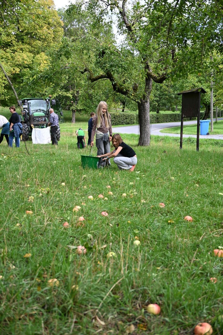 Zwei laechelnde Kinder sammeln Aepfel im gruenen Gras auf einer Streuobstwiese