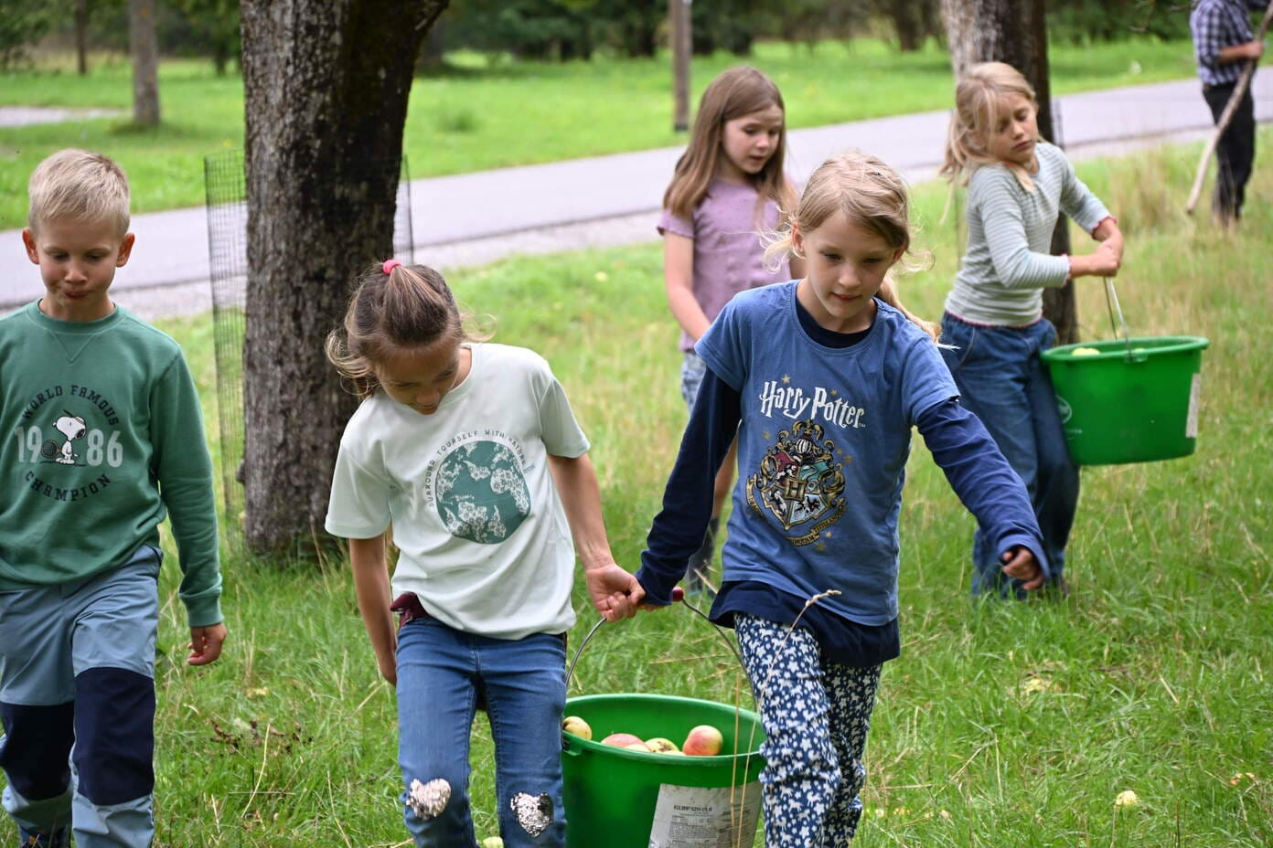 Fuenf Kinder sammeln konzentriert Aepfel in gruenen Eimern auf einer Wiese