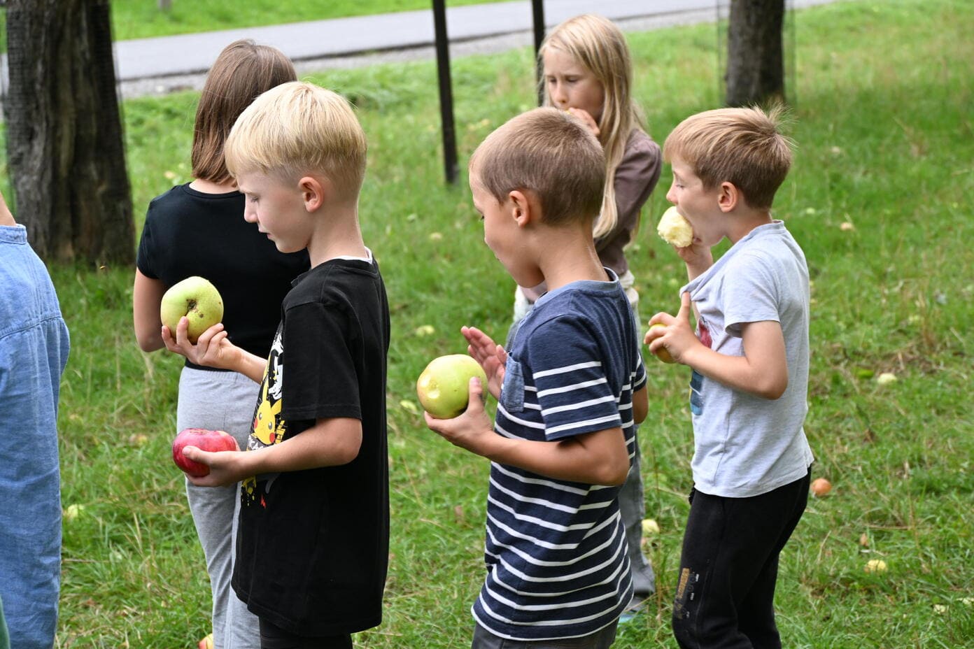 Kinder mit blonden Haaren halten und essen Aepfel auf einer gruenen Wiese