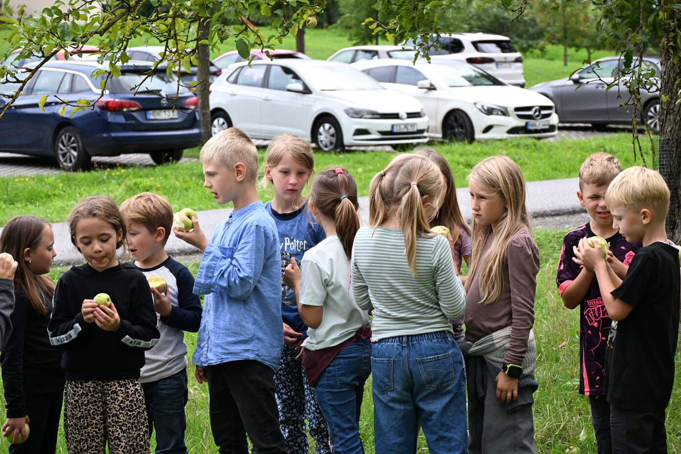 Eine Gruppe interessierter Kinder betrachtet gepflueckte gruene AEpfel im Freien