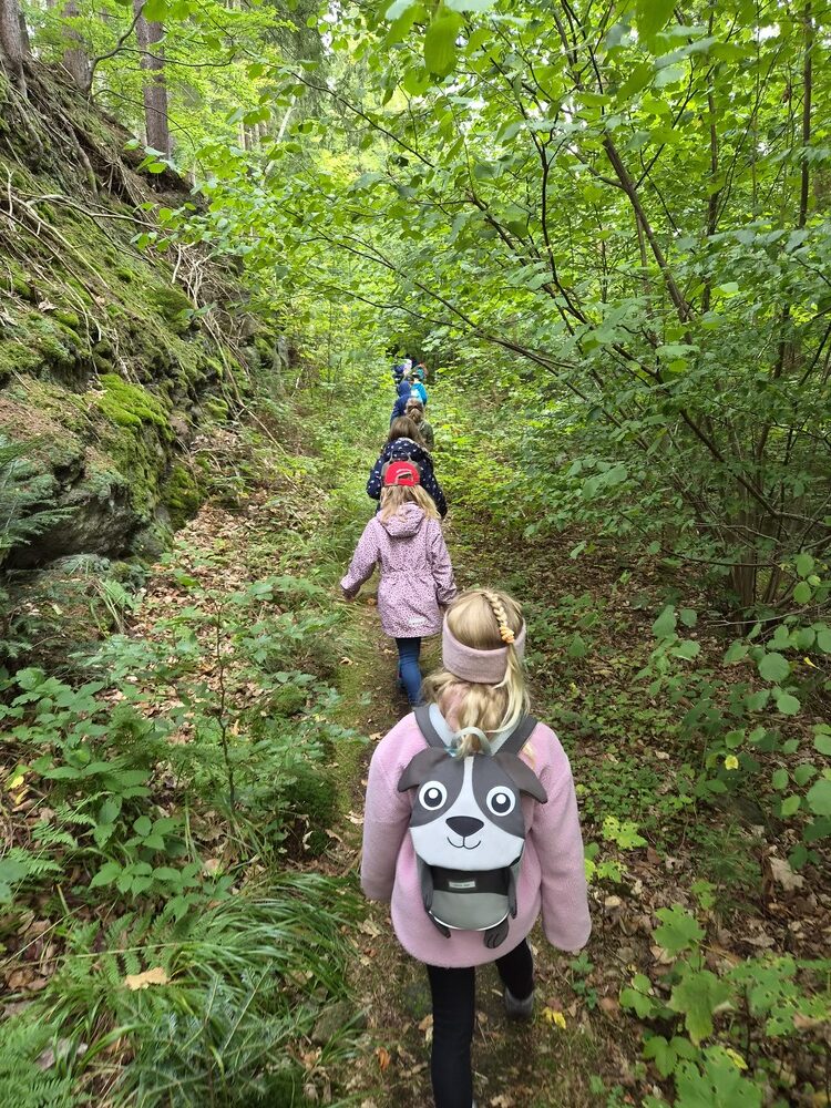 Kinder wandern hintereinander auf einem Waldweg durch gruenes Dickicht