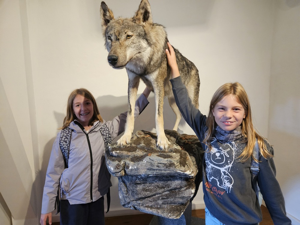Zwei laechelnde Maedchen stehen neben einem praeparierten grauen Wolf auf Felsen