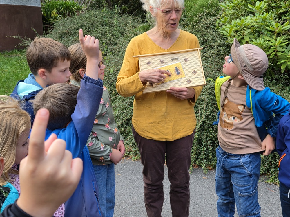 Eine Frau im gelben Pullover zeigt neugierigen Kindern eine Insektentafel