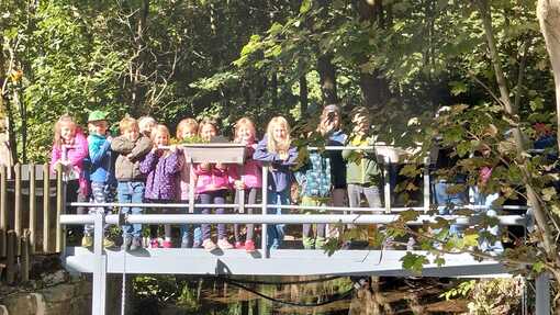 Froehliche Kindergruppe steht auf einer Bruecke umgeben von gruenem Wald