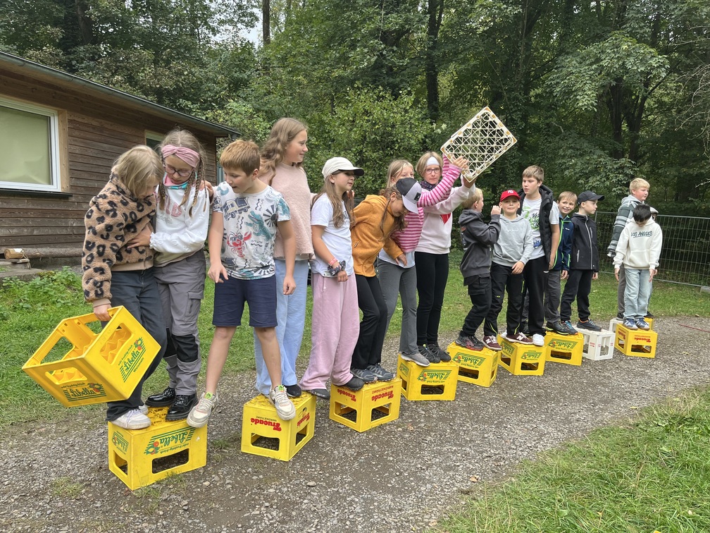 Eine Gruppe froehlicher Kinder balanciert auf gelben Getraenkekisten im Wald