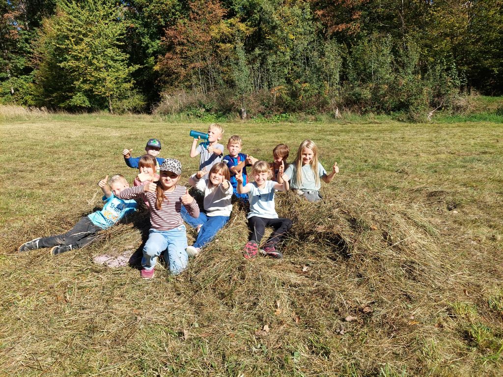 Froehliche Kinder zeigen Daumen hoch auf einer Wiese mit Heu vor Waldkulisse